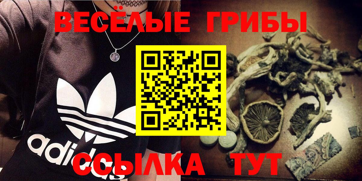 Галлюциногенные грибы мицелий Новодвинск